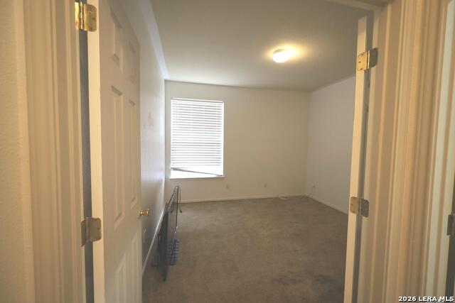 11642 Catchfly Property Photo 16