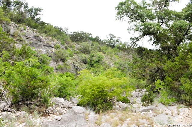 Lot 51 Pr 2537 Property Photo 4