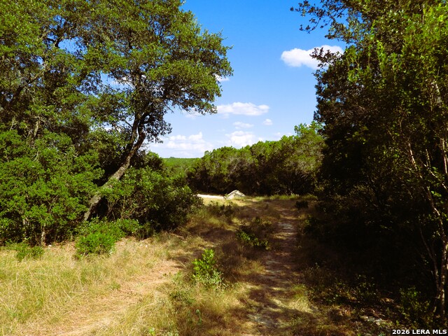 Lot 51 Pr 2537 Property Photo 7