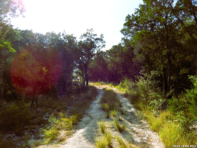 Lot 51 Pr 2537 Property Photo 9