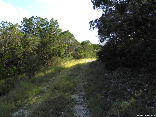 Lot 51 Pr 2537 Property Photo 19