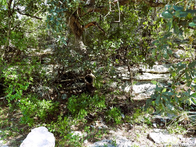Lot 51 Pr 2537 Property Photo 22