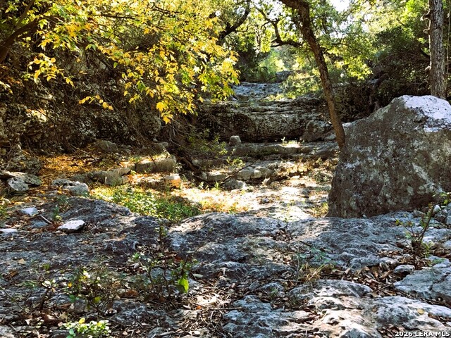 Lot 51 Pr 2537 Property Photo 40