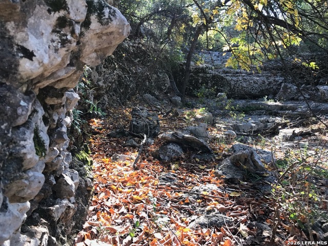 Lot 51 Pr 2537 Property Photo 41