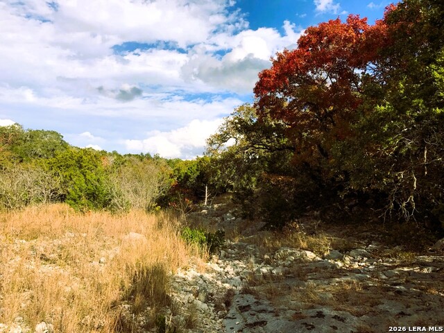 Lot 51 Pr 2537 Property Photo 42