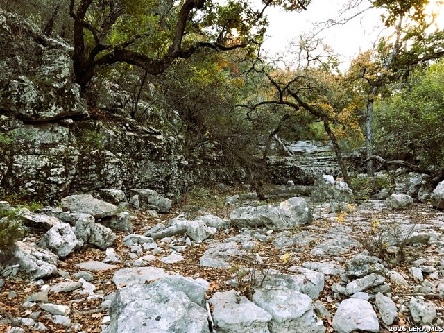 Lot 51 Pr 2537 Property Photo 43