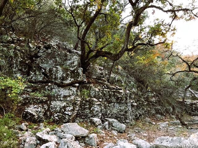Lot 51 Pr 2537 Property Photo 44