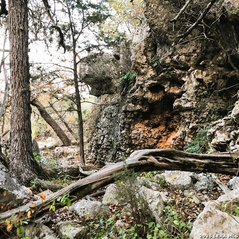 Lot 51 Pr 2537 Property Photo 45