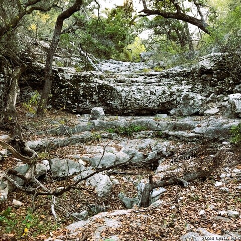Lot 51 Pr 2537 Property Photo 46