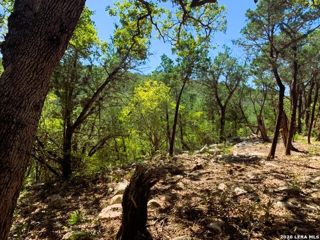 Lot 51 Pr 2537 Property Photo 48