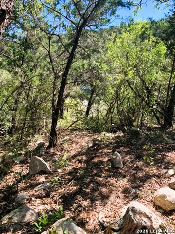 Lot 51 Pr 2537 Property Photo 51