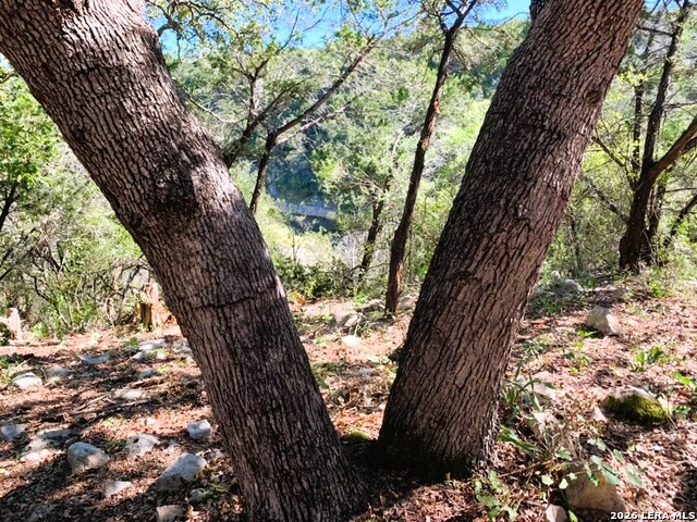 Lot 51 Pr 2537 Property Photo 52