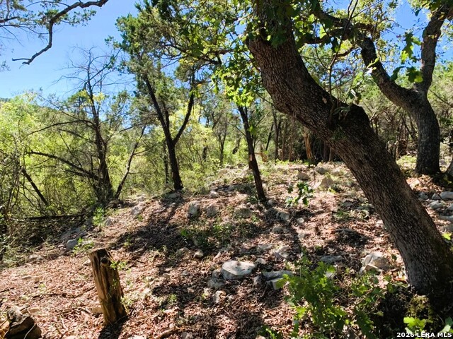 Lot 51 Pr 2537 Property Photo 53