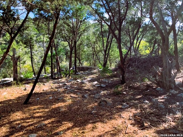 Lot 51 Pr 2537 Property Photo 65