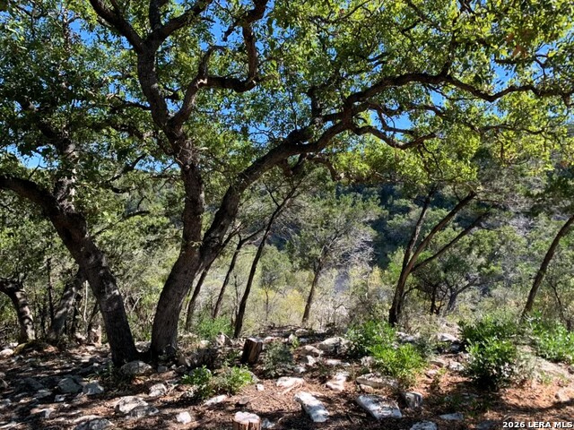 Lot 51 Pr 2537 Property Photo 69