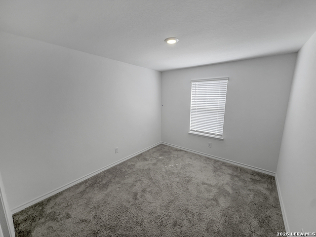 819 Bluegrass Pt Property Photo 5