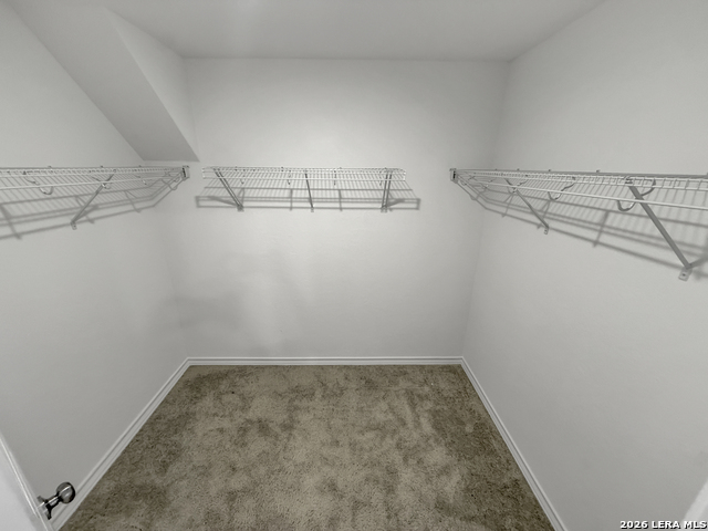 819 Bluegrass Pt Property Photo 23