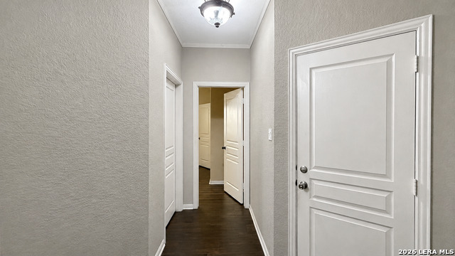 11515 Butterfly Walk Property Photo 23