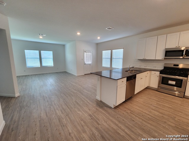 13907 Sickle Ridge Property Photo 13