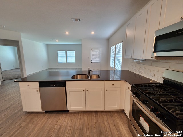 13907 Sickle Ridge Property Photo 15
