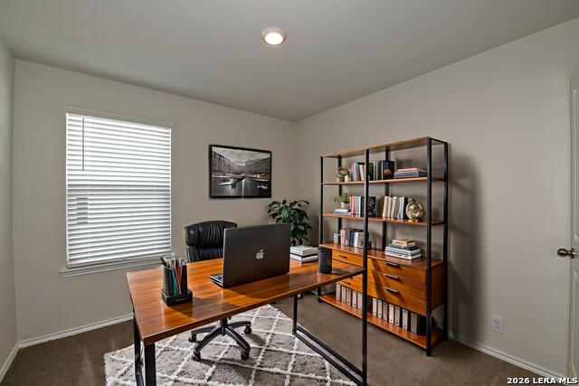 13507 Hummel Loop Property Photo 9