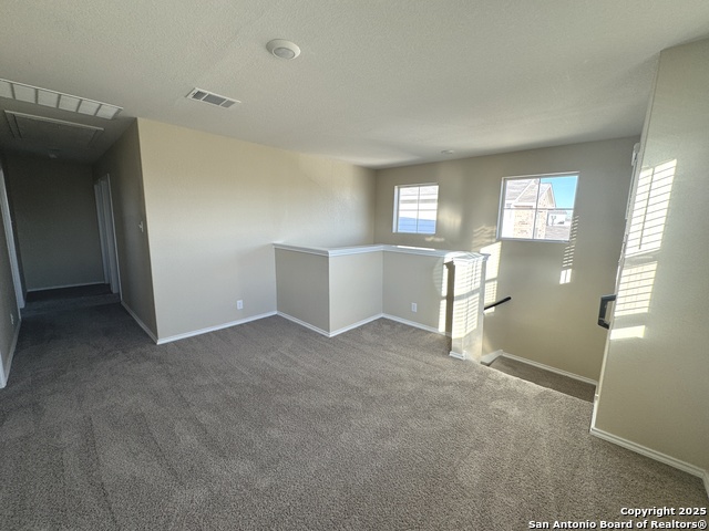 13507 Hummel Loop Property Photo 41