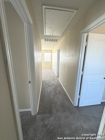 13507 Hummel Loop Property Photo 46