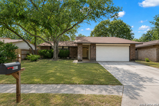 8651 Bristlecone St Property Photo 2