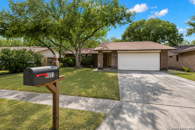 8651 Bristlecone St Property Photo 3