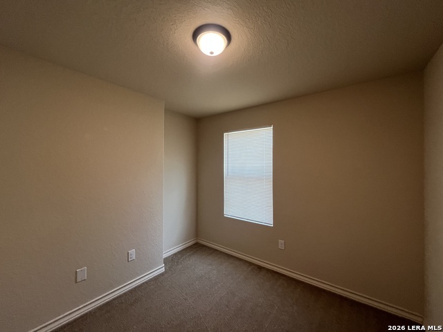 7109 Micayla Cove Property Photo 18