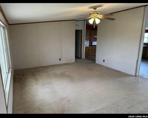 1667 County Road 345 Property Photo 2