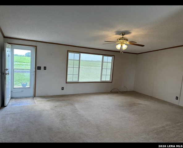 1667 County Road 345 Property Photo 3
