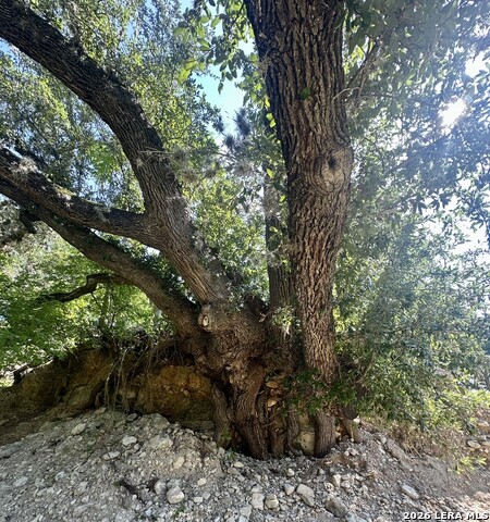 1 Upper Cibolo Creek Rd Property Photo 3