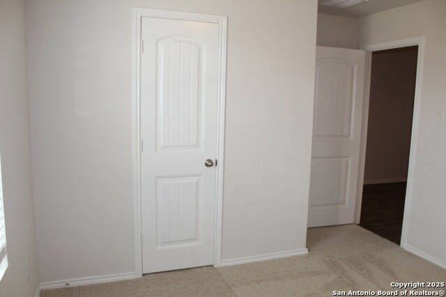 841 Margay Loop Property Photo 3