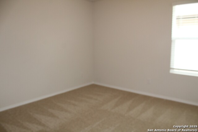 841 Margay Loop Property Photo 5