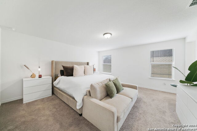 11133 Charismatic Property Photo 21