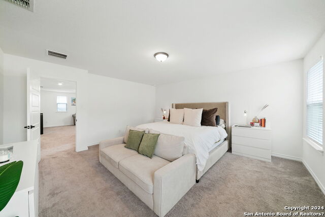 11133 Charismatic Property Photo 22