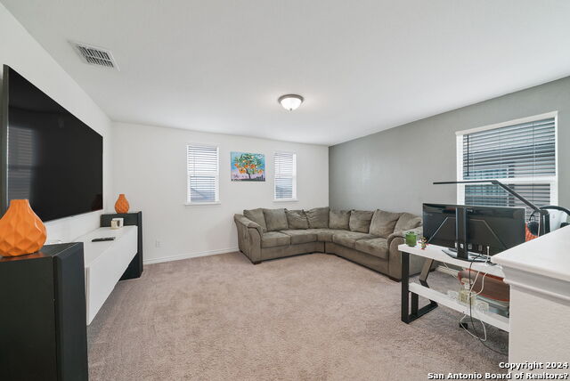 11133 Charismatic Property Photo 30