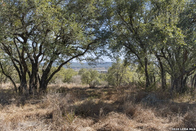 31045 Johnson Way Property Photo 14
