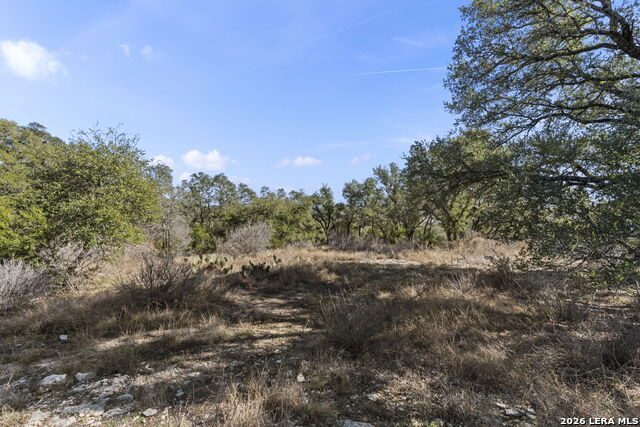 31045 Johnson Way Property Photo 15