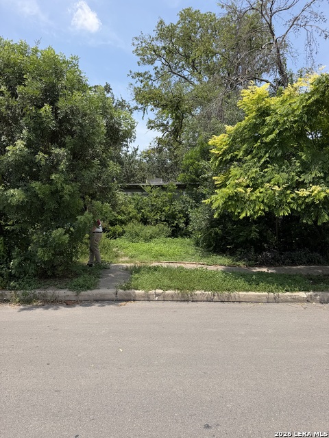 347 Freiling Property Photo 2