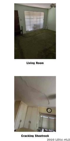 347 Freiling Property Photo 10