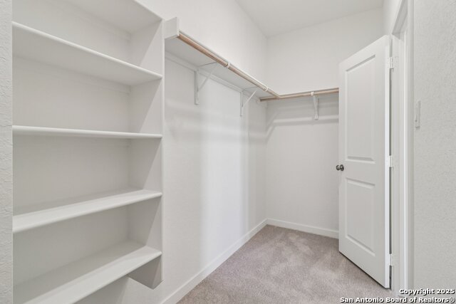 15519 Crescent Pine Property Photo 22