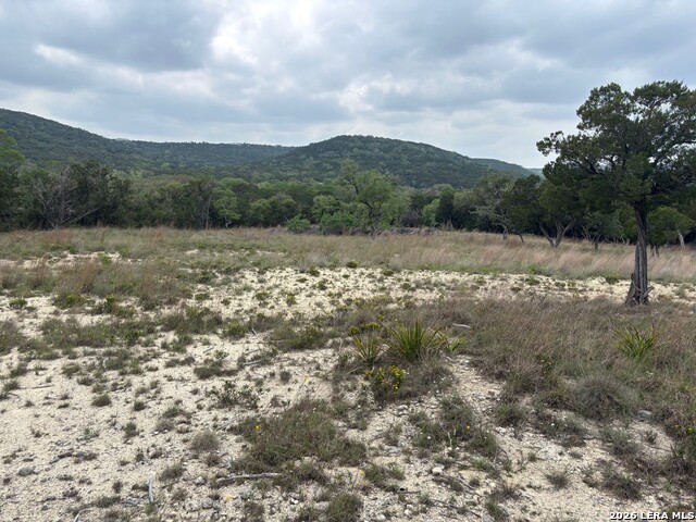 595 Canyon Frst Property Photo 1
