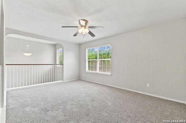 11019 Arabian Palm Property Photo 14