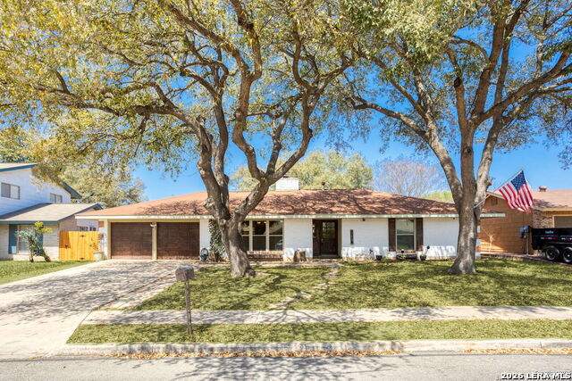 5259 Prince Valiant