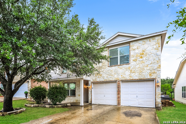 3626 Alpine Aster Property Photo 2