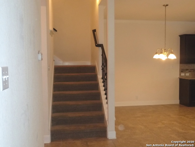 23830 Stately Oaks Property Photo 3