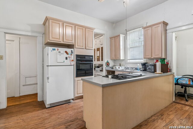 1032 W Woodlawn Property Photo 11