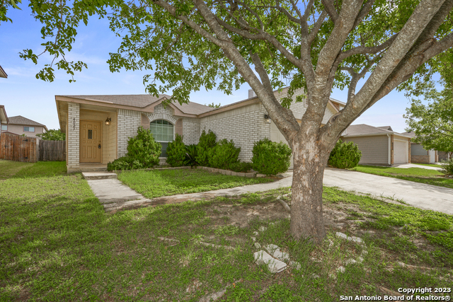 4023 Privet Pl Property Photo 4